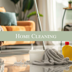 home cleaning single visit